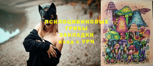 МДПВ Алексин