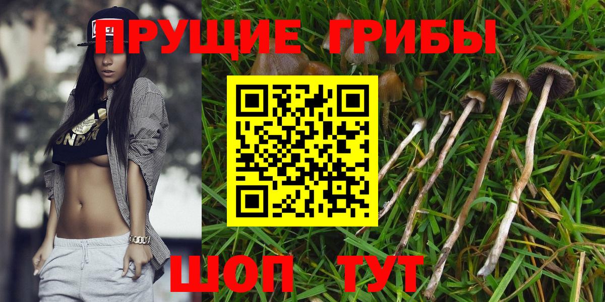 Галлюциногенные грибы GOLDEN TEACHER Казань